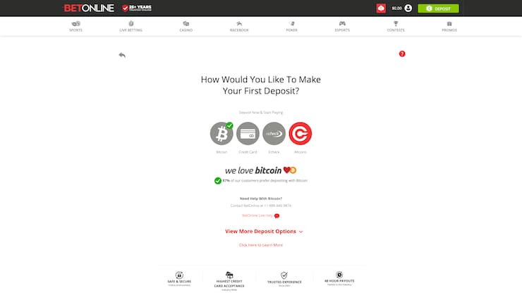 Step 4: Pick Your BetOnline Deposit Option