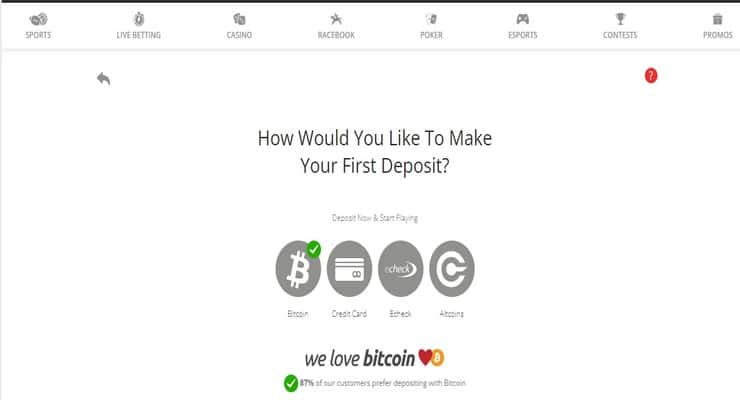 BetOnline Deposit Page at Sportsbook IN