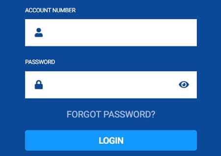 BetUS Sign In Mobile