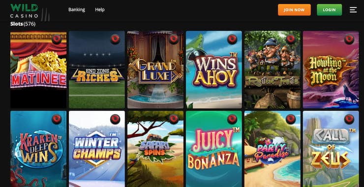 Casino Games at Wild Casino