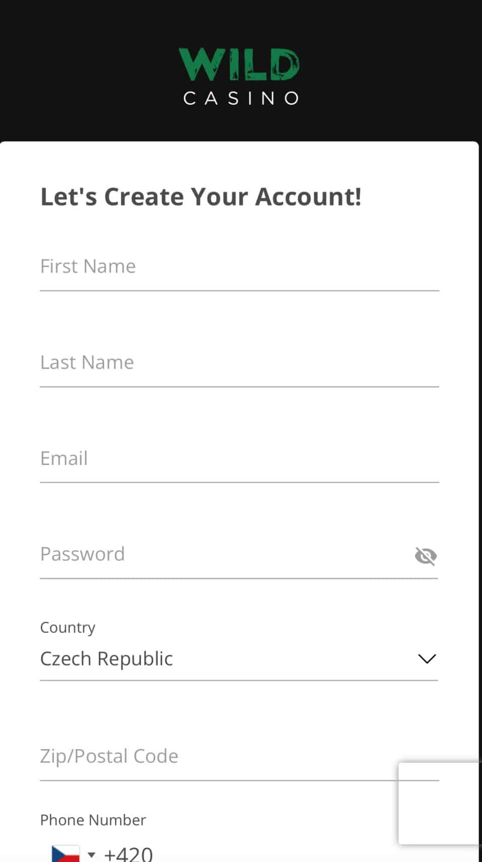 Enter Your details on Wild Casino