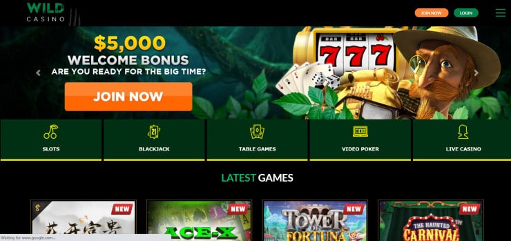 Wild Casino registration process