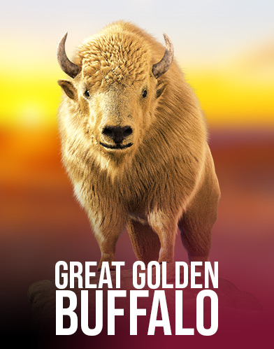 Great Golden Buffalo