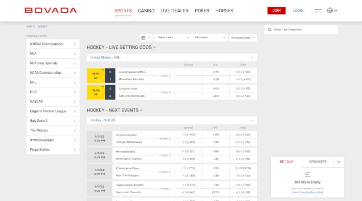 Bovada Hockey Options
