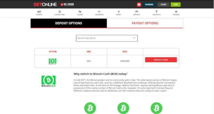BetOnline Crypto