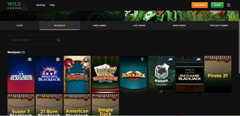 Wildcasino - New York Online Casino Blackjack Options