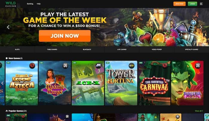 Wild Casino Homepage