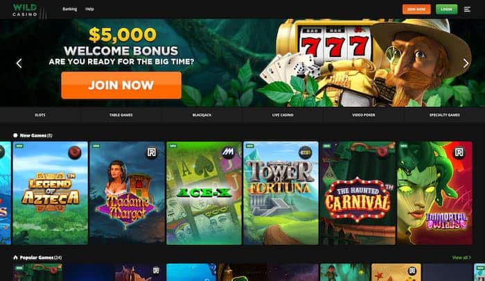 Wild Casino Homepage