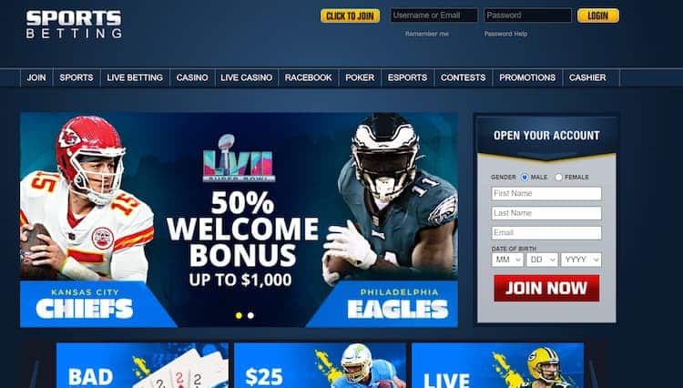 Louisiana Online Sports Betting Sites and Apps [cur_year] – Claim up to $5,000+in Bonus at The Best LA Sportsbooks