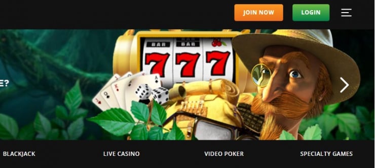 Wild Casino Join Now homepage - Online Casinos That Accept Visa