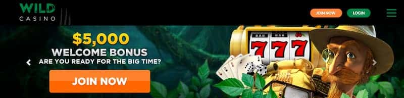 Wild Casino best online casino connecticut