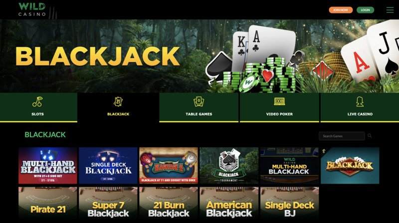 Wild Casino Blackjack Games