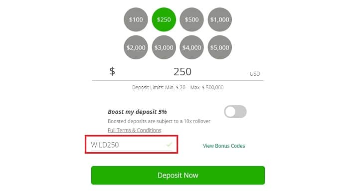 Wild Casino Bonus Code