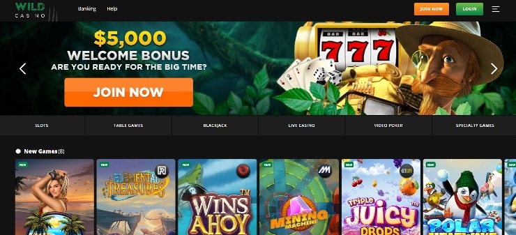 Wild Casino Homepage