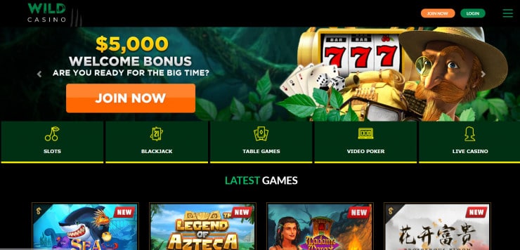 Wild Casino homepage