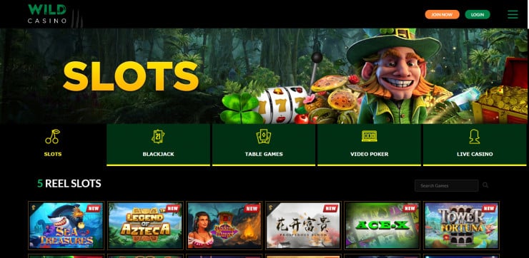 Wild Casino North Carolina