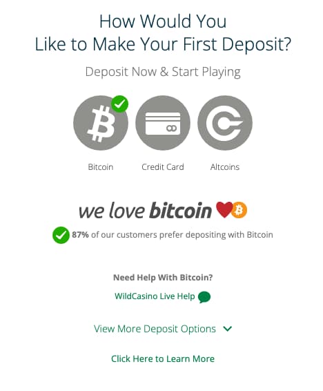 Wild casino deposit funds