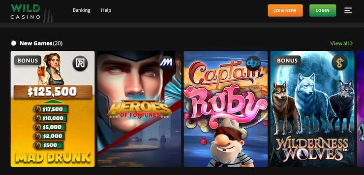 Wild Casino New Games
