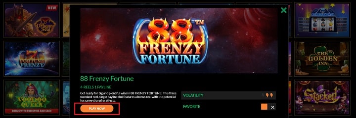 Wild Casino Play Game