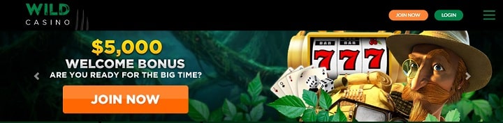 Wild Casino Top Site