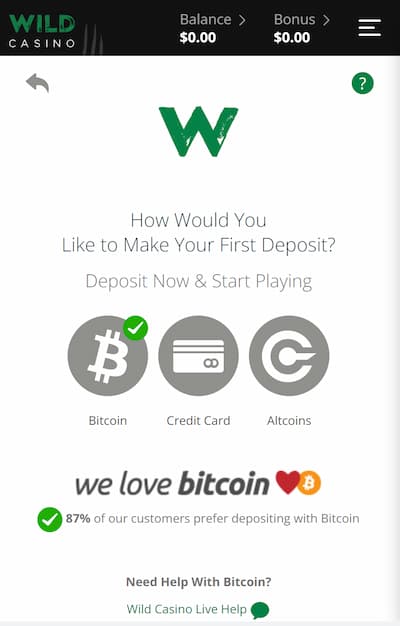 Wild Casino mobile site deposit options