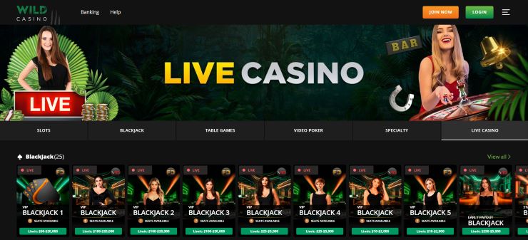 offshore casinos Wild Casino sign up process