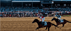 Best Delaware Online Sports Betting Sites and Apps in [cur_year] – Top 10 Online DE Sportsbooks Compared