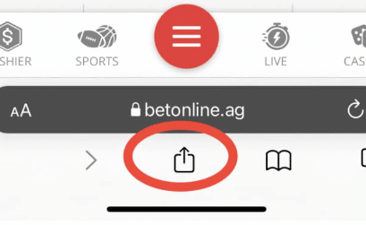 Safari Share Button