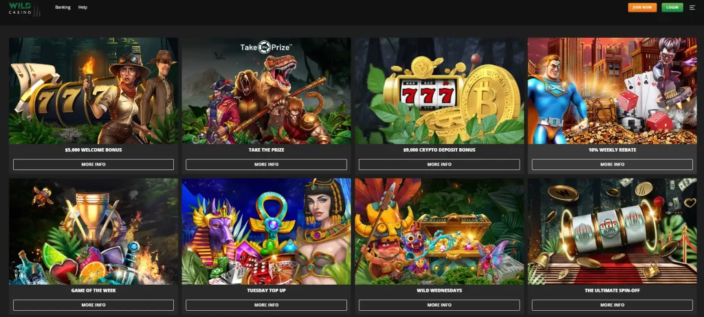 wild casino promotions North Carolina 